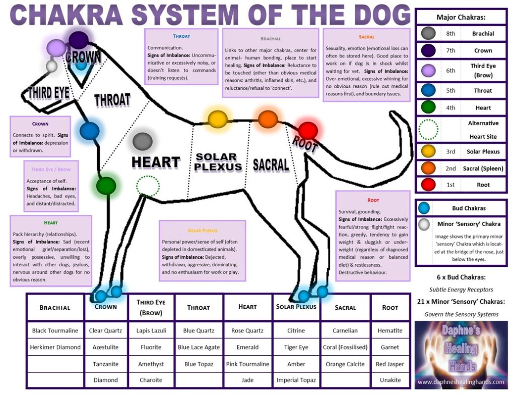 Animal Reiki - Canines of Mind